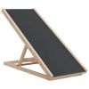 Dog Ramp Grey Solid fir wood, polyester 39.4 x 15.7 in