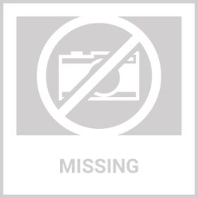 Smart Bird Feeder With Solar Powered Camera 1080P HD AI Identify PIR Motion Auto Capture Video Cloud Card Storage WiFi Connection App Control IP6 (Option: BirdFeederCamera)