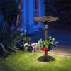 Green Standing Pedestal Birdbath and Feeder Combo with Solar Powered Lamp
