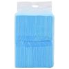 Pet Training Pad Set of 400 Blue and white